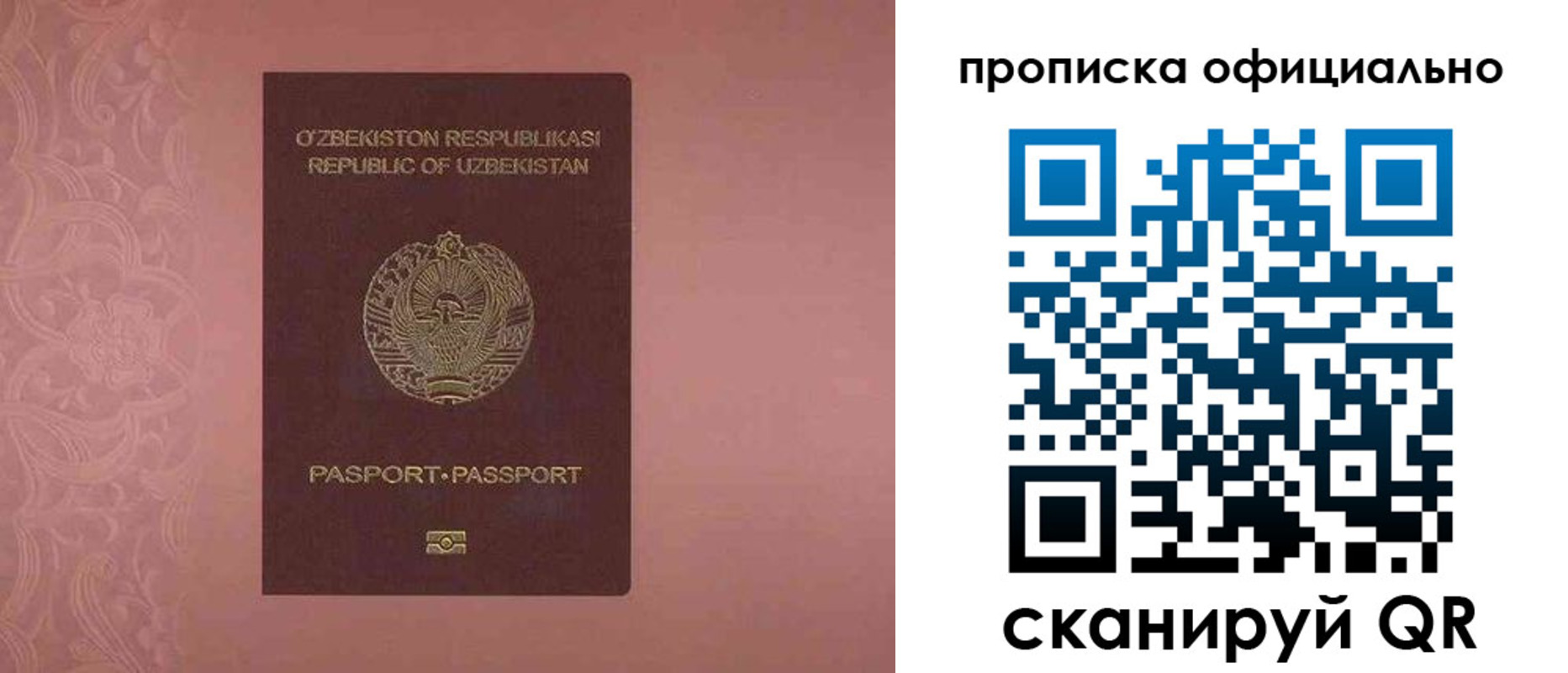 прописка гарантия в Гвардейске